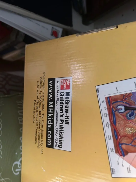 Human Anatomy Posters Set - Yellow - - Picture 11 of 13